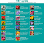 2200+ Mixed Flower Combo Seed Pack for Your Home Garden, 40+ Variety Flower, Including Petunia, Zinnia, Sunflower and More, Attracts Pollinators, Non- GMO and Heirloom