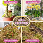 Legigo 14OZ Premium Sphagnum Moss for Plants- 16QT Natural Succulent Carnivorous Plant Moss Dried, Long Fiber Orchid Moss for Orchid Repotting Succulent Sarracenia Potted Plants Gardening and Reptiles