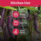 KVITER 175 Long Purple Eggplant Seeds (Solanum melongena) – Asian Eggplant, Dark Purple Italian Egg Plant Seed Packets – Heirloom Vegetable Seeds for Planting Outdoors & Indoor Garden, Containers Beds