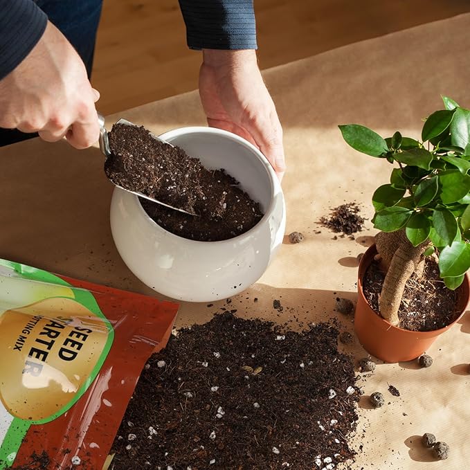Doter Seed Starter Potting Soil Mix 4qt, Seed Starting Mix for Germination and Growth, Loamy Compost Well-Drainaged Soil Fit for Vegetable, Flower, houseplant