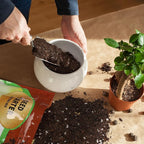 Doter Seed Starter Potting Soil Mix 2qt, Seed Starting Mix for Germination and Growth, Loamy Compost Well-Drainaged Soil Fit for Vegetable, Flower, houseplant
