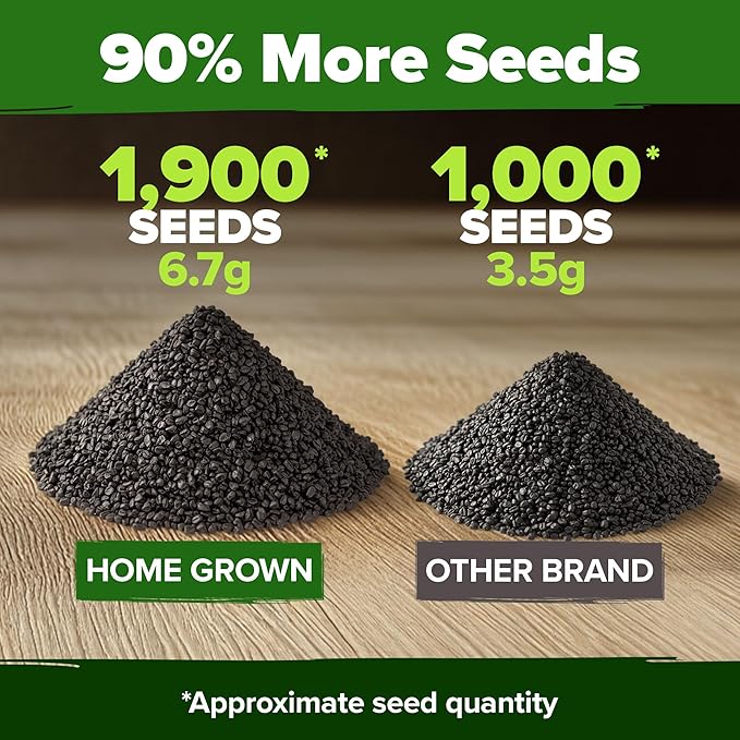 HOME GROWN 8 Onion Seeds for Planting 1,600 Heirloom Vegetable Seeds Grow Sweet, Yellow, Red, Spanish, Green & Vidalia Onions in Outdoor or Indoor Home Garden