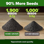 HOME GROWN 8 Onion Seeds for Planting 1,600 Heirloom Vegetable Seeds Grow Sweet, Yellow, Red, Spanish, Green & Vidalia Onions in Outdoor or Indoor Home Garden