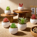 6-Pack Mini Artificial Succulents in Ceramic Pots,Small Fake Plants for Desk, Bathroom, Aesthetic Living Room & Home Office Decor,Office Desk Accessories