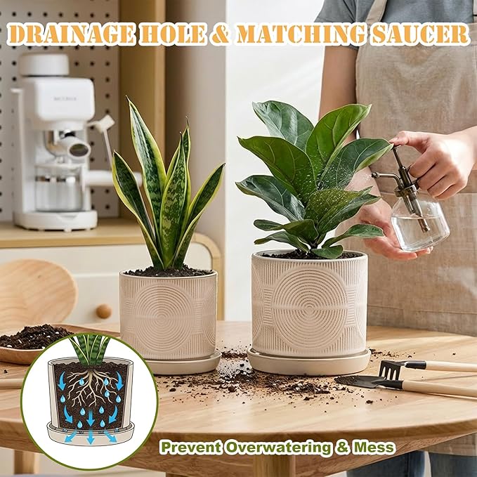 Ceramic Plant Pots, Pots for Plants(4.5+5.5inch), Flower Pots for Indoor planters with Drainage and Tray, Indoor Plant Pots for Succulents Cactus Herbs - Small Planters for Home Office Decor