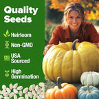 HOME GROWN Pumpkin Seeds for Planting - 5 Variety Mix - 40 Seeds - Heirloom Non GMO USA - Vegetable Garden - Edible & Jack O Lanterns - Connecticut Field Blue White Mini - Autumn Harvest