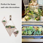 HappyHapi 12 Pcs Artificial Succulents Mini Fake Plants Unpotted Faux Succulent for Craft, Small Plastic Succulents Assortment in Flocked Green Floral Decor for Party, Cake, Garden & Outdoor