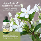 Professional Jasmine Fertilizer Liquid 3-1-2 Concentrate 8 oz, Premium Jasmine Plant Fertilizer Indoor Outdoor, Liquid Jasmine Fertilizer for Flowers and Plants Made in USA