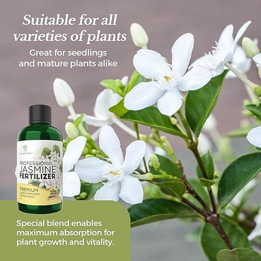 Professional Jasmine Fertilizer Liquid 3-1-2 Concentrate 8 oz, Premium Jasmine Plant Fertilizer Indoor Outdoor, Liquid Jasmine Fertilizer for Flowers and Plants Made in USA
