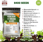 Assorted Collection of Spice Herb and Green Lettuce Seeds - Non GMO USA Grown - 34 Heirloom Varieties for Hydroponic Indoor and Outdoor Planting - Salad and Tea Seeds for Home Growing