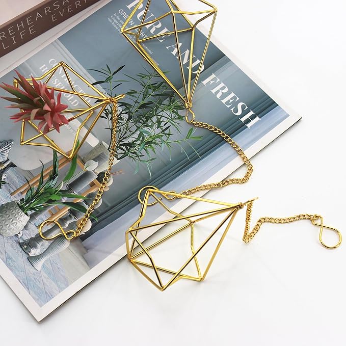 Air Plant Hangers with Chains, 6 Pcs Gold Tillandsia Holders for Wall/Ceiling Decor, 3 Hangers + 3 Stands Set, Boho Indoor Home Office Display, Modern Air Fern Plant Décor