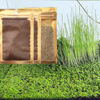 3 Bags Aquarium Plant S.e.e.d set, not aritifical plastic, Fresh Water Grass for Fish Tank zmml4