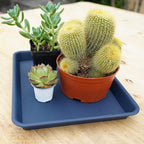 VUWEZ Rectangle Plant Tray, Plant Drip Tray, Plant Pot Saucers, Plant Germination Trays, Plant Saucers, 14.5'' x 11'' x 1.5'' (4 pack), Blue