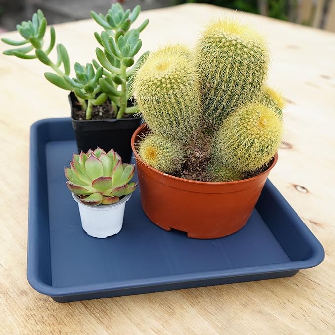 VUWEZ Plant Growing Trays 2 Pack, Plant Tray, 14.5"x11", Heavy Sturdy Plastic Plant Saucer Seed Trays, Seedling Starter Tray, Plant Drip Trays for Indoors, Seed Starter Growing Tray (Blue)