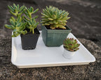 VUWEZ 2 Pack Plant Growing Nursery 1020 Trays, Heavy Sturdy Seed Starting Saucer, No Holes Starter Tray for Indoors (22"x11.2", Creamy White)