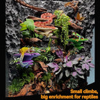 Mushroom Decor for Reptile Tank, Fish Tank, Pet-Safe Bearded Dragon Tank Accessories, Realistic Terrarium Plants for Crested Geckos, Frogs,Realistic Habitat Ornament (Desert Beige)