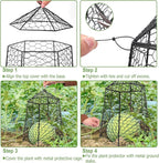 18.5" x 13" Large Plant Protection Cage, 5 Pcs Chicken Wire Cloche, Metal Protectors for Garden Plants, Protecting Fruits and Seedlings from Rabbits, Squirrels and Other Animals