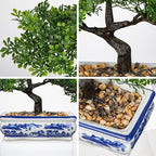 Artificial Bonsai Tree with Blue and White Porcelain Pot, Fake Pine Bonsai for Home Office Desk Decor, Oriental Zen Tabletop Decoration, Faux Bonsai Plant for Living Room, Shelf & Gift