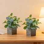 2 Pack 12" Medium Eucalyptus Fake Plants, Artificial Plants Indoor with 4 Inch Wooden Planters, Faux Potted Silk Plants for Home Decor, Desk, Shelves, Desktop, Coffee Table, Bedroom