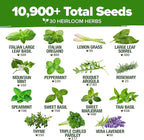 HOME GROWN 30 Herb Seeds for Planting 10,900+ Non-GMO Heirloom Seeds | Extra Large Variety Pack Herb Kit – Indoor Outdoor & Hydroponic | Culinary Seed Set | Grow Your Own Herbs | Gardening Gift