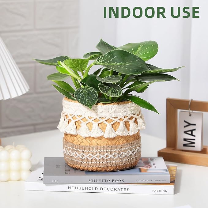 vomiceak Concrete Rattan-Style Plant Basket Planter, 5" Boho Plant Pots Indoor Outdoor with Drainage Hole, Flower Pot for Succulents, Herbs, Modern Farmhouse Decor, Ideal Gift for Plant Lovers