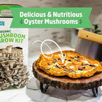 Back to the Roots Organic Oyster Mushroom Grow Kit, Harvest Gourmet Mushrooms In 10 Days