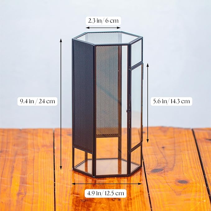 NCYP Small Glass Terrarium with Mesh and Door for Spiders, Hexagon Shape Small Mantis Vented Glass Terrarium 4.9'' x 4.3'' x 9.4'', Tabletop Decor, Black (Plants Not Include)