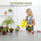 Bumble Plants Begonia Maculata Live Plant [Winter Thermal Packaging Included] | Polka Dot Angel Wing Indoor Plant | Air-Purifying Benefits, and Easy Care Houseplant | Low Light Indoor Plants