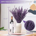 Dried Preserved Lavender Flowers Bundle-Natural Dried Lavender Bouquet 180-200 Stems 15''-17" for Wedding Home Shower Vase Decor, Aromatherapy, Fragrance, Fresh, Dry, 2 Packs