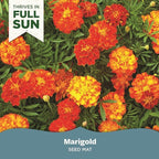 BloomingBulb Seed Mat - Easy to Plant and Grow Garden Seeds - Creates Fragrant, Vibrant Flower Garden – Customizable Flower Beds- Merry Marigold