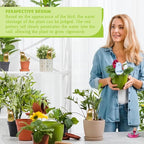 6 Pcs Self Watering Spikes, Indoor Plant Globes - Automatic Irrigation System