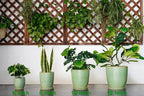 Ceramic Plant Pots - 6 Inch Ceramic Planter with Drainage Hole and Saucer, Modern Planters for Indoor Outdoor Plants, Round Flower Pots, Office House Decor, Gifts for Women Men, Bright Green