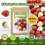 12-Pod Strawberry Seed Kit Compatible with All Hydroponics, 2 Pack Varieties: Big Fruited Red & White Alpine Strawberry - Universal Seed Starter Pods, Easy to Grow, High Germination