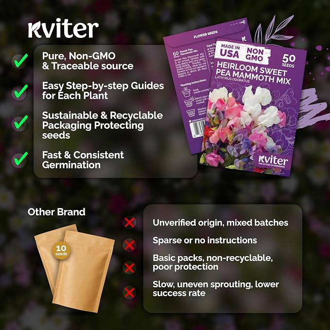 KVITER 50 Sweet Pea Mammoth Mix Seeds (Lathyrus Odoratus) - Sweet Pea Seed Packets, Large Fragrant Cut Flowers, Long Stems - Annual Flower Seeds for Gardens, Trellises, Flower Beds and Containers