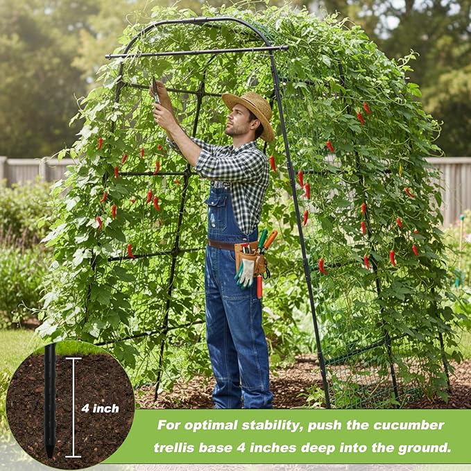 7Ft Garden Arch Trellis for Climbing Plants Outdoor, Heavy Duty Coated Metal Cucumber Trellis for Raised Beds, Tall Steel Gardening Arbor for Vegetables, Tomatoes, Grape, Bean (83’’ x 49’’ x 63’’)