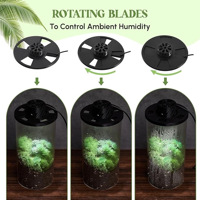 Maxdot Glass Plant Terrarium Kit with Light for Succulent, Moss, Miniature Gardening Landscape, Betta Fish Tank, Office Home Decoration, Plant Lovers Gifts (7.9 x 3.9 Inch)