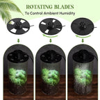 Maxdot Glass Plant Terrarium Kit with Light for Succulent, Moss, Miniature Gardening Landscape, Betta Fish Tank, Office Home Decoration, Plant Lovers Gifts (7.9 x 3.9 Inch)