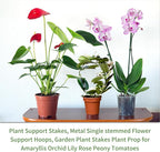 20Pcs Plant Support Stakes with 30 Pcs Plant Clips, Plant Sticks for Indoor and Outdoor Plants, Orchid Clips and Stakes,16inch Tall Bendable Single Stem Flower Stakes Bendable (20, Green-16inch)