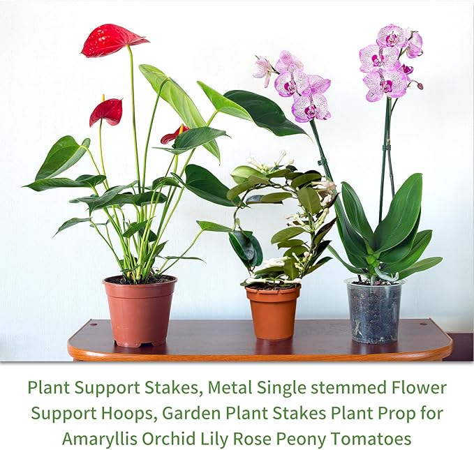 10Pcs Plant Support Stakes with 15 Pcs Plant Clips, Plant Sticks for Indoor and Outdoor Plants, Orchid Clips and Stakes,16inch Tall Bendable Single Stem Flower Stakes Bendable (10, Green-16inch)