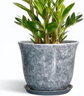Ceramic Pots for Plants - 10 Inch Planter with Drainage Hole and Saucer, Round Plant Pot for Indoor Outdoor, Decorative Flower Pot, Modern Planter, Garden Decor, Gifts for Plant Lover, Grey