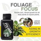 Growth Technology GT Foliage Focus - Liquid Indoor Plant Food for Houseplants, Tropical Plants, Aroids, Ferns and Palms - Concentrated Formula for Vibrant Leaves and Dense Foliage - 8.5 fl oz (250 mL)