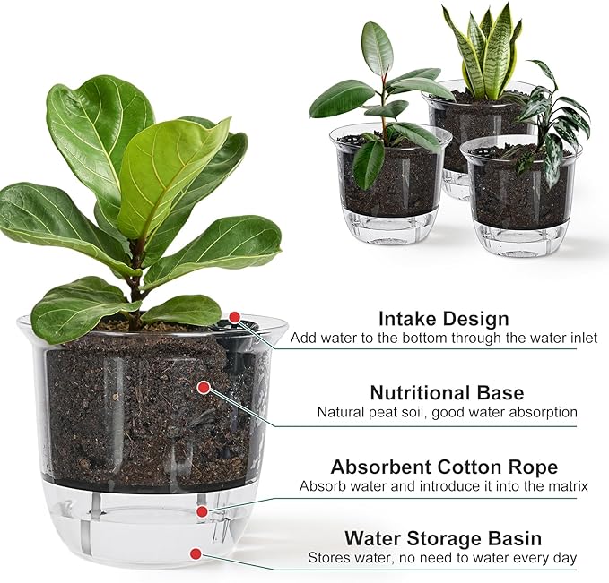 Self Watering Pots, 3 Pack 5 Inch Clear Plant Pot Self Watering Planter Flowers Pot with Deep Reservoir for Indoor Plants (3 Medium)