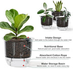 Self Watering Pots, 3 Pack 5 Inch Clear Plant Pot Self Watering Planter Flowers Pot with Deep Reservoir for Indoor Plants (3 Medium)