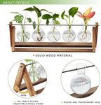 CFMOUR Plant Terrarium with Wooden Stand, Desktop Propagation Stations Glass Air Planter Metal Swivel Holder for Indoor Live Hydroponics Plants Office Home Garden Decor (5 Bulb Vase)