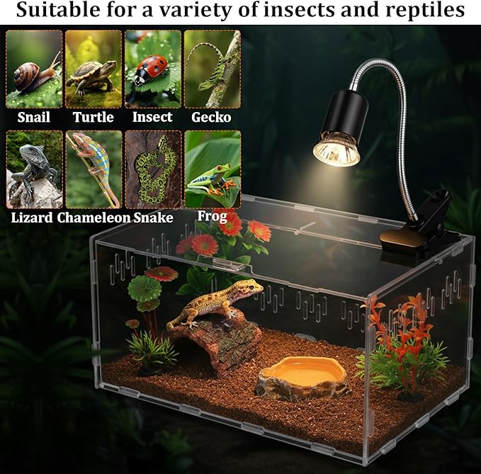 Kathfly 13 Pcs Mini Reptile Terrarium Starter Kits, 12x8x6'' Insect Amphibians Reptile Tank Insect Habitat Cage Acrylic Tank Hidden Shell Heat Lamp Hammock and Other Accessories for Fish Turtle Spider