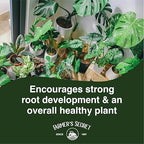 Farmer's Secret Tropical Houseplant Booster (4oz) - Super Concentrated, Makes 48 Gallons - Great for All Tropical Houseplants (Monstera, Fiddle Leaf, ZZ Plants, and more) - Easy to use Drip Top