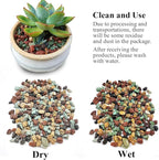FANTIAN 10 lbs Succulent Cactus Soil Potting Mix,5-8 mm Pebbles Mix Horticultural Lava Rock