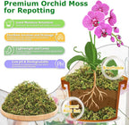 Legigo 7OZ Sphagnum Moss for Plants, 8QT Natural Orchid Moss Potting Mix Dired, Green Forest Plant Moss for Orchid Repotting Carnivorous Succulents Indoor Potted Plants Gardening and Reptiles