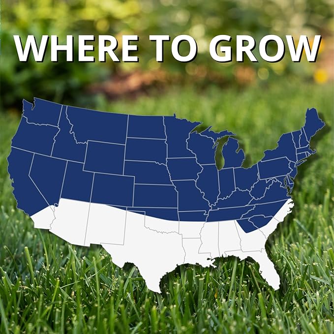 Jonathan Green (10321) Black Beauty Ultra Grass Seed - Cool Season Lawn Seed (3 lb)