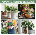 17.5 Inch Indoor Plant Trellis for Climbing Plants, Small Metal Garden Trellis for Potted Plants,Plants Accessories Hoya,Flower,Plant Support (Ladder-Metal)